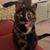 Sharon Hegge's profile image