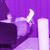Rose Ferrell Singh's profile image