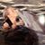 Yvette Valiente's profile image