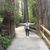 Tricia Wrinkle's profile image