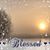 Gail Haller Whelchel's profile image