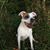 Buckie Kelly's profile image