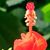 Sandra Kennedy's profile image