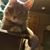 Lisa Lubeley Schneider's profile image