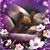Jackie Conner's profile image