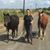 Stefania Caldwell's profile image