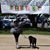 Andrea Gallo DiLoreto's profile image