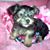 Laura Madl Alvarado's profile image
