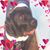 Dawn Gray's profile image