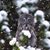 Dorothee Burney's profile image
