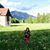 Chiara Gratton's profile image