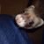 Darrell Schisler's profile image