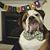 Kelly Stoll Hespel's profile image