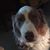Charlie Cloud's profile image