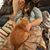 Hannah Mosier's profile image