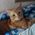 Michelle Wilson's profile image