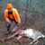 Tom Diganci's profile image