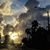 Maureen Mancha's profile image