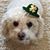 Paula Randazzo's profile image