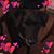 Kathleen Boudreau's profile image