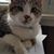 Emily Brocius's profile image