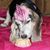 Rachel Carver Koehler's profile image