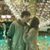 Karlie Allene Godfrey's profile image