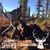 Brad Dumonceaux's profile image