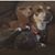 Mrs. Kitty's profile image