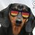 Ellen Klein's profile image