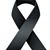 Shelley Levy's profile image