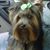 Rochelle Moore's profile image