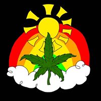 Ted Shalmon's profile image