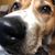 Lee Mary Daniels's profile image