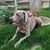 Maureen Kay Anthony's profile image