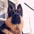 Jennifer Faulk Buskirk's profile image