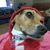 Renae DeMunck Hipple's profile image