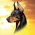 Sandy Sharpe's profile image