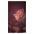 Viviana R. Del-Toro's profile image