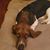 Susan Charles's profile image