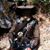 James A. Davy's profile image