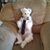 Linda Van Niekerk's profile image