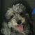 Kathleen Schmidt's profile image