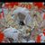 Tami K Summers's profile image