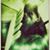 Jeremy Mitchell's profile image