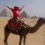 Michelle Richardson's profile image