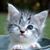 Greg Lobeck's profile image