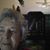 Betsy Tilley's profile image