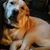 Mary Silvaggio Radigan's profile image