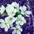 Linda Verrett's profile image